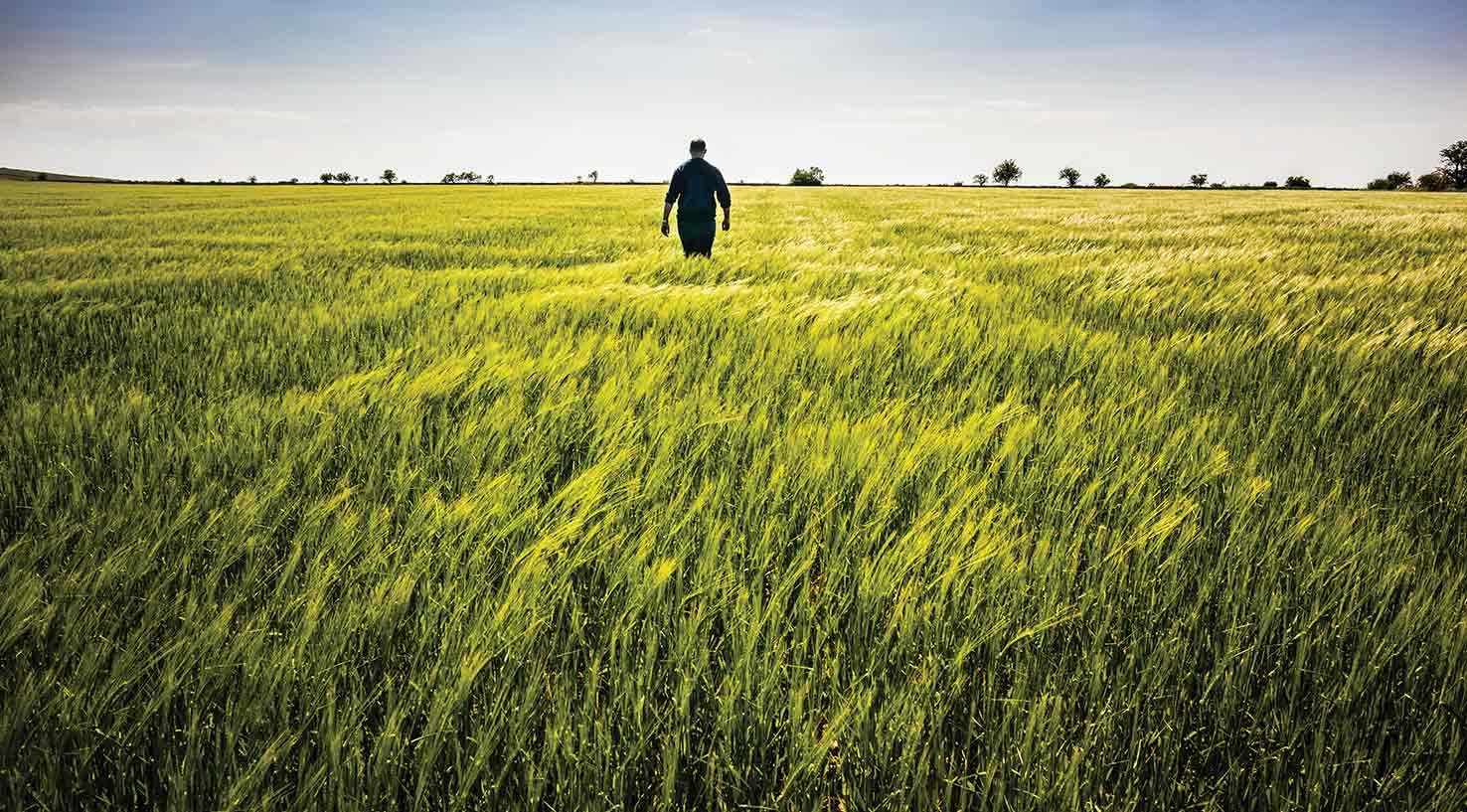 Field walk. Walk across the field. Agriculture Spring photo. Walking in fields German.